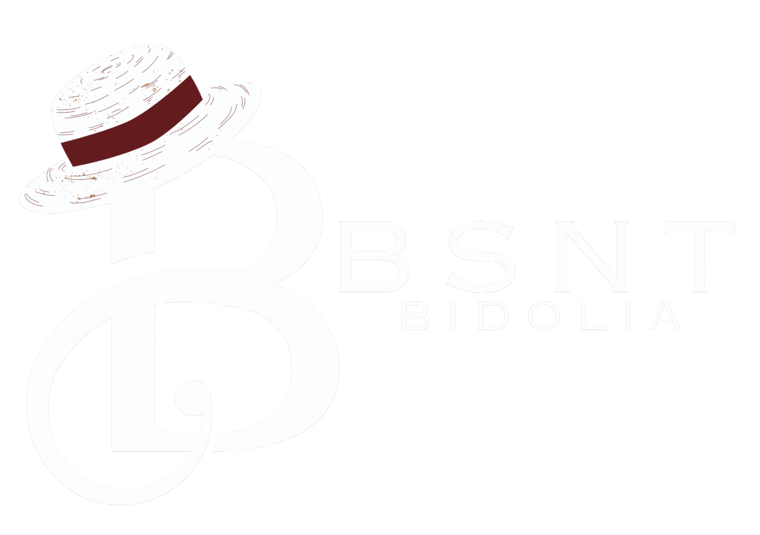 BSNT Bidolia Logo PNG (Basant Bidolia)